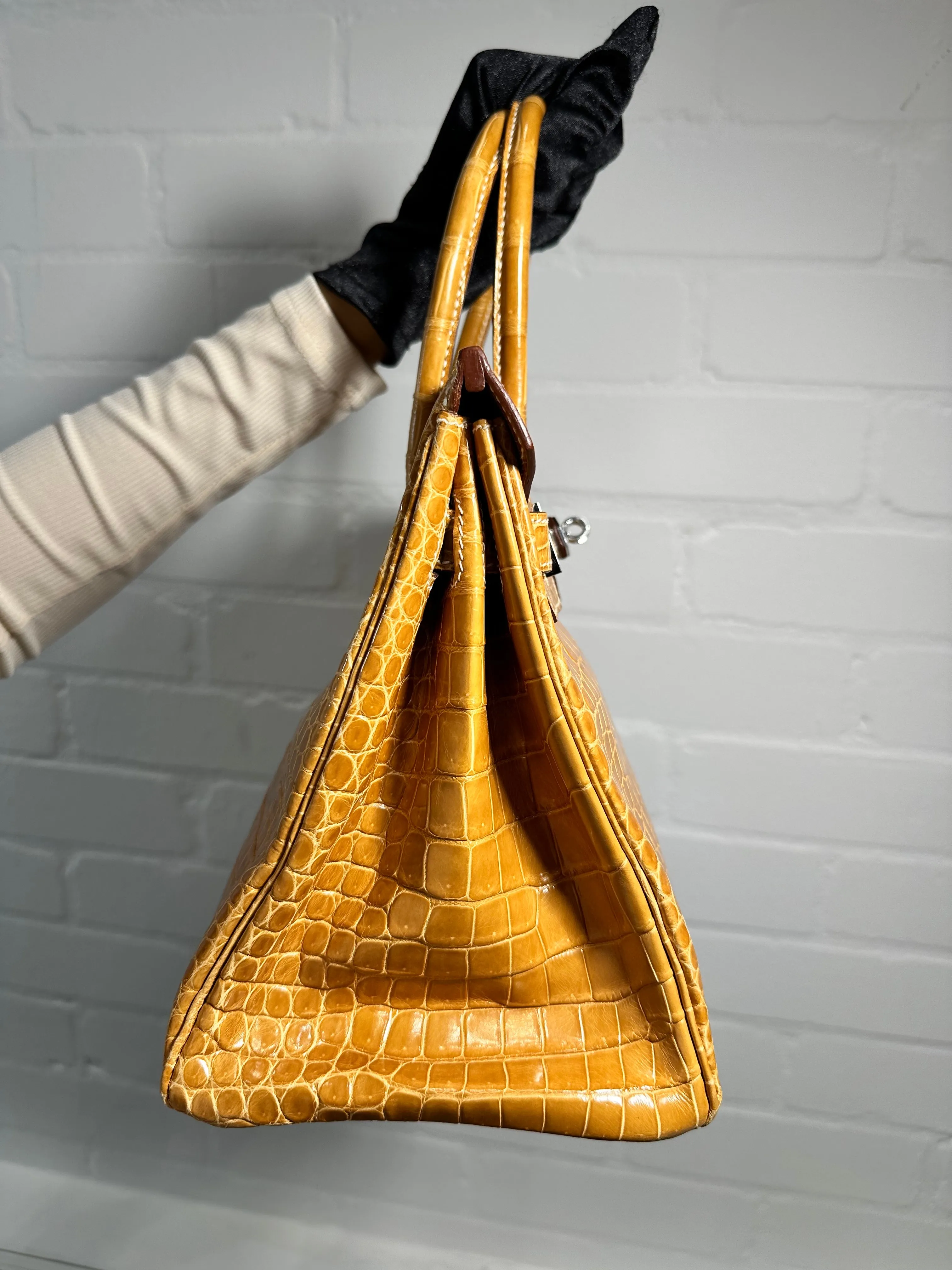 Birkin 30 With Diamonds