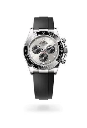 Rolex Cosmograph Daytona in 18 kt white gold, M126519LN-0006 | Walters & Hogsett