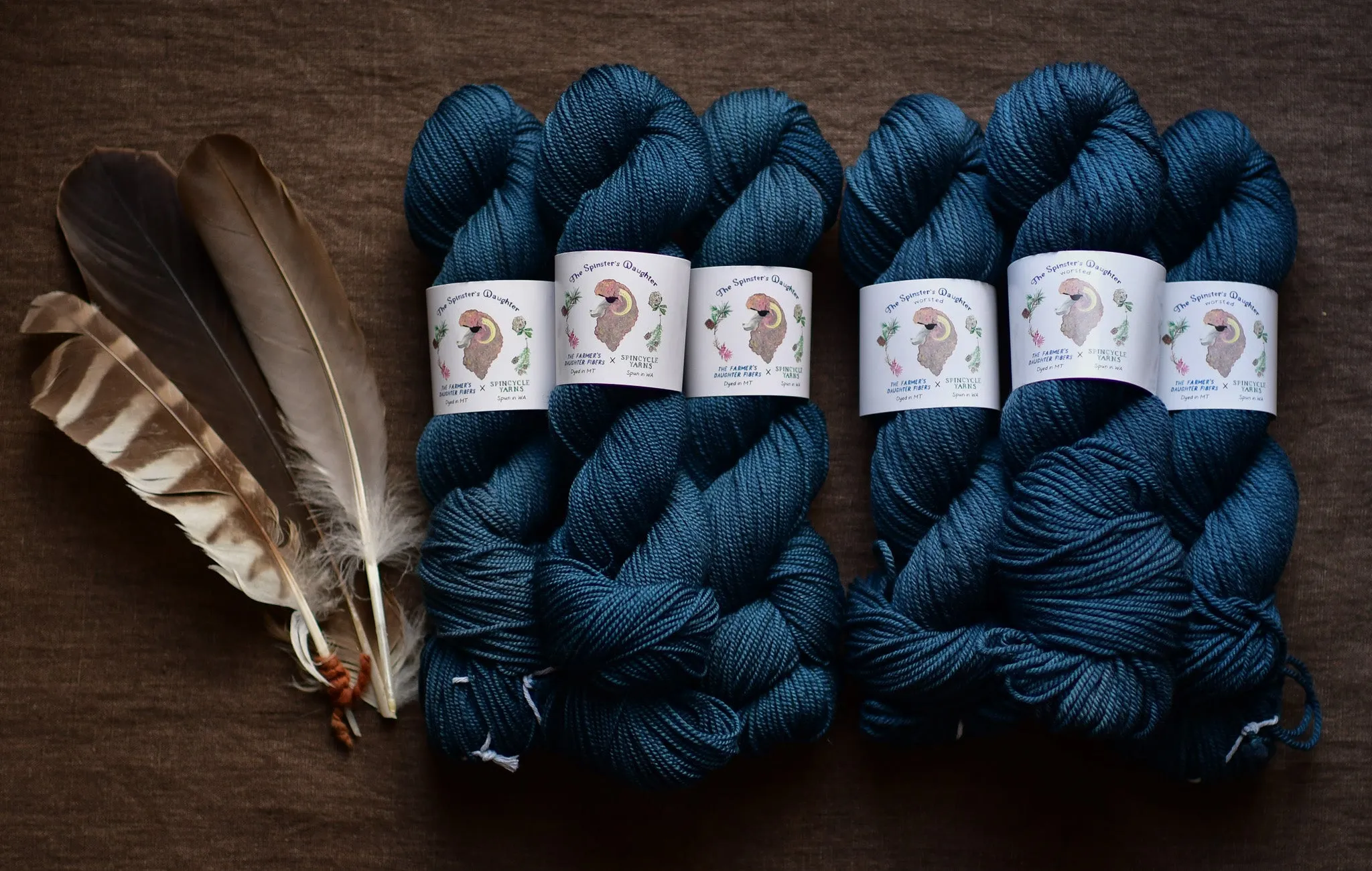 Spinster's Daughter - Spincycle x FDF