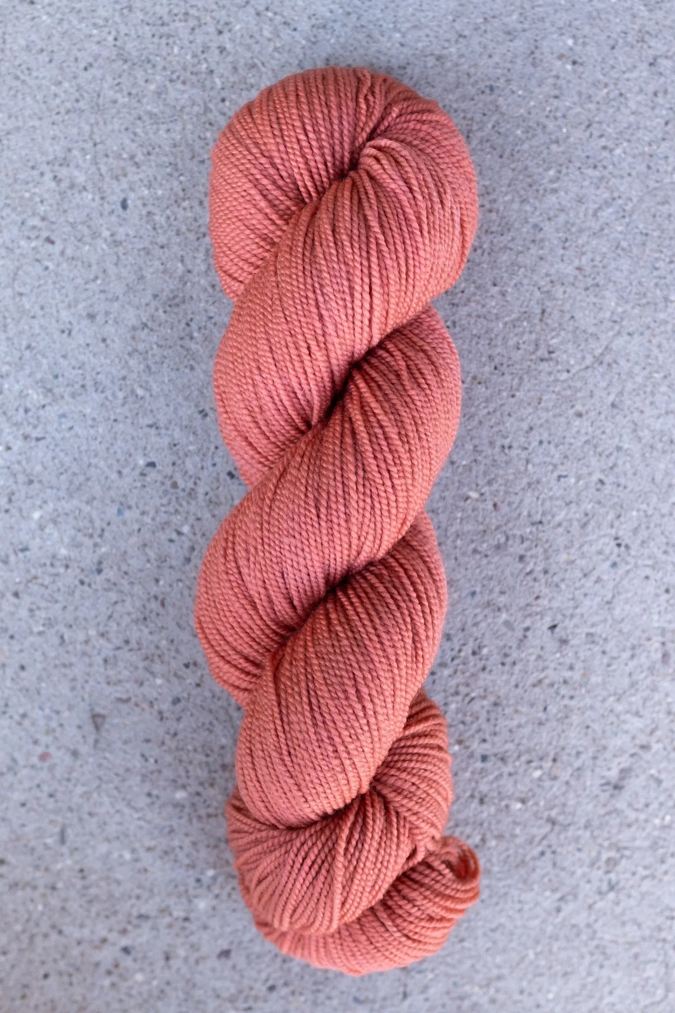 Spinster's Daughter - Spincycle x FDF