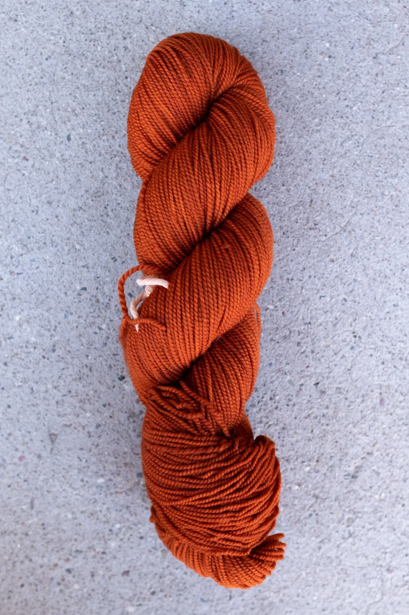 Spinster's Daughter - Spincycle x FDF